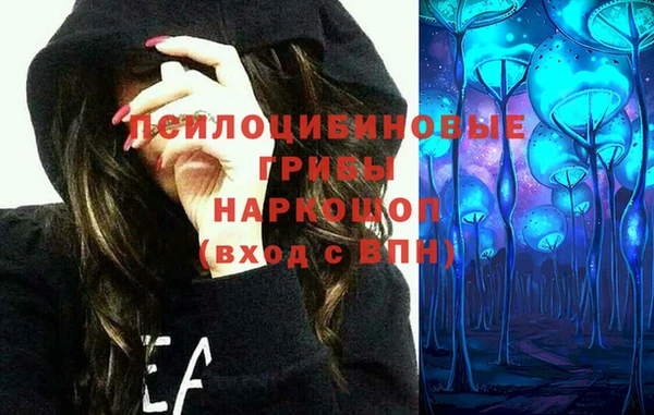 a pvp Козловка