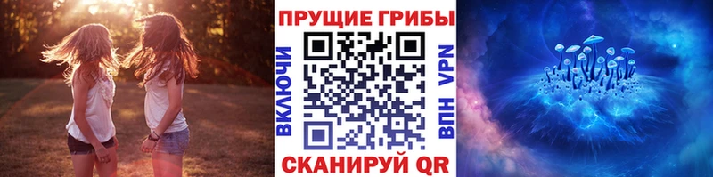 Купить закладки  Благодарный  Галлюциногенные грибы мухоморы 